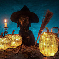 Glass Luminous Pumpkin Lamp With Timer